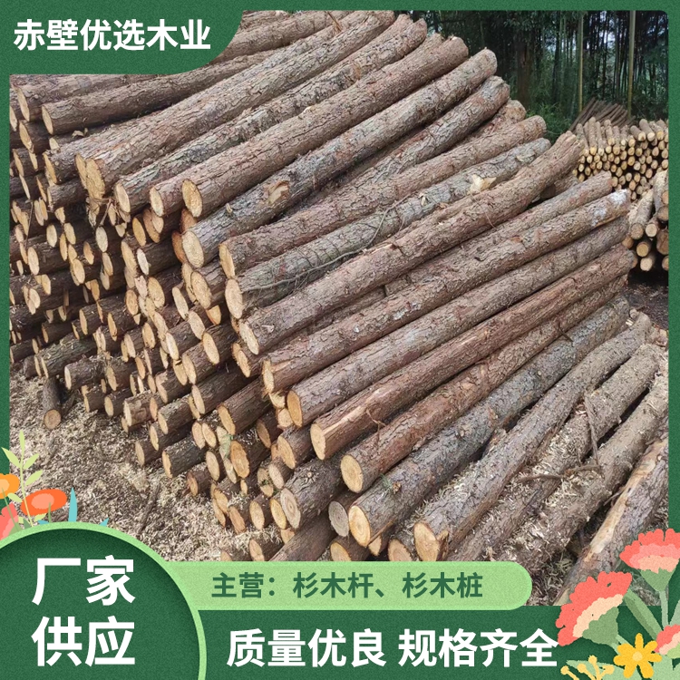 河道打桩木 护岸打桩木 绿化打桩木 杉木支撑杆