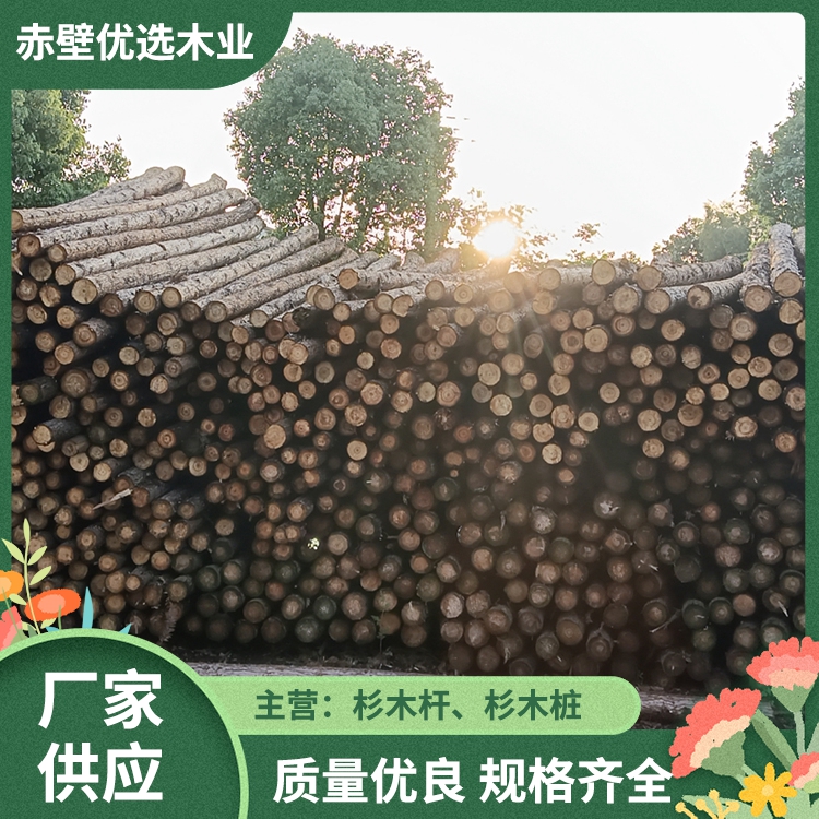 树木固定杆 工地打桩木 桥梁木桩 城市绿化杉木