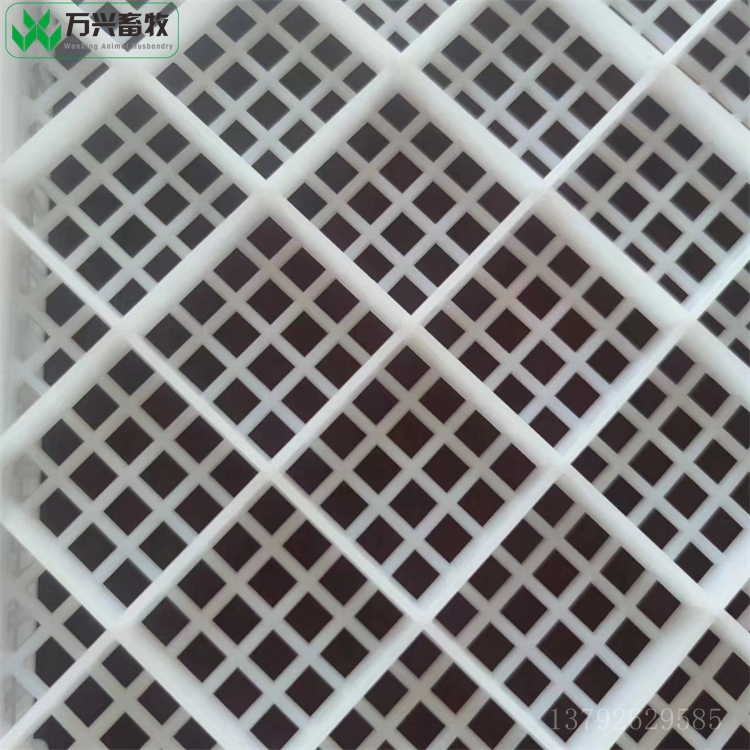 塑料水產(chǎn)盤 冷庫用盤 水產(chǎn)單凍盤