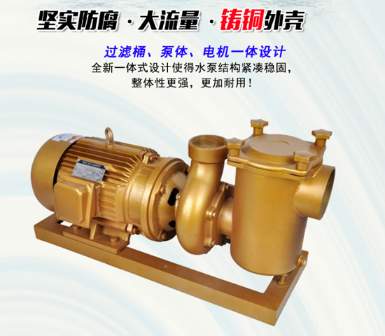 廣州比美BP銅水泵，比美BP銅水泵廠家 大流量泳池過濾銅泵 游泳池純銅過濾水泵安裝