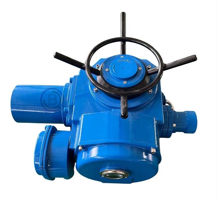 供應(yīng)普通型執(zhí)行器DZW-供應(yīng)普通型執(zhí)行器DZW批發(fā)，報(bào)價(jià)【江蘇博億勤自控閥門有限公司】