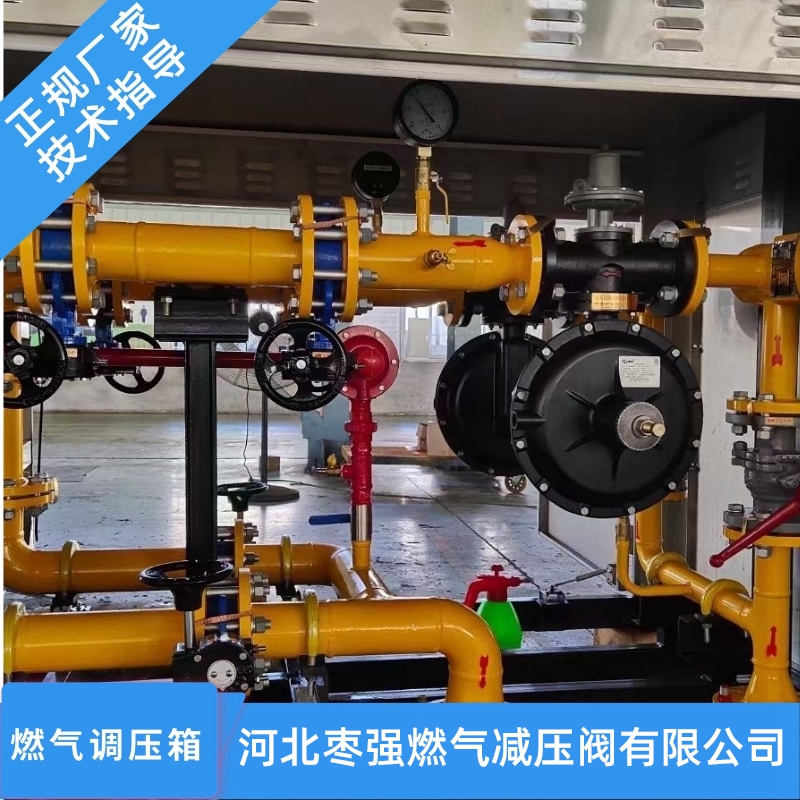 燃?xì)庹{(diào)壓箱廠家_燃?xì)庹{(diào)壓箱價(jià)格_燃?xì)庹{(diào)壓箱批發(fā)_燃?xì)庹{(diào)壓箱供貨商【河北棗強(qiáng)燃?xì)鉁p壓閥】