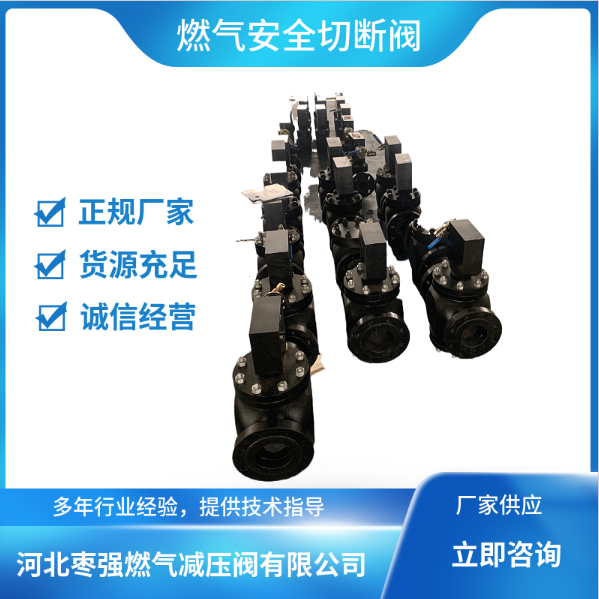 燃?xì)馇袛嚅y廠家 燃?xì)馇袛嚅y價(jià)格 燃?xì)馇袛嚅y供貨商【河北棗強(qiáng)燃?xì)鉁p壓閥】