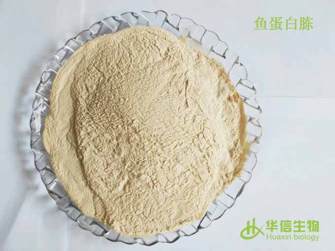 山東魚蛋白胨生產(chǎn)廠家，山東魚蛋白胨供應商，山東魚蛋白胨直銷，山東魚蛋白胨電話，山東魚蛋白胨報價