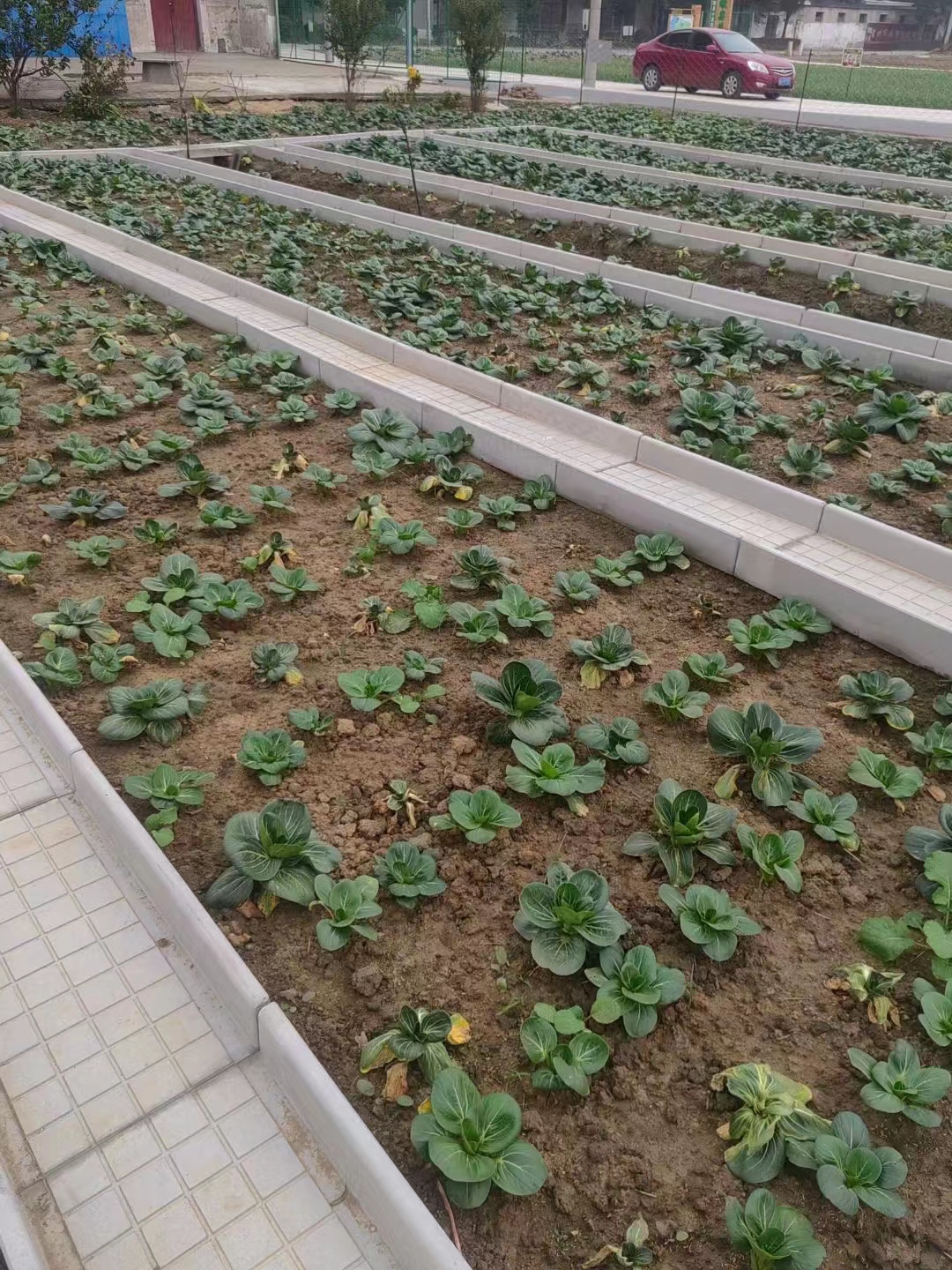 上海菜地溝板廠家，批發(fā)，報價【六安文樂水泥制品有限公司】