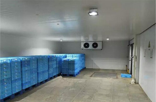 雙溫冷庫(kù)    重慶雙溫冷庫(kù)      雙溫冷庫(kù)哪里有       雙溫冷庫(kù)哪家好