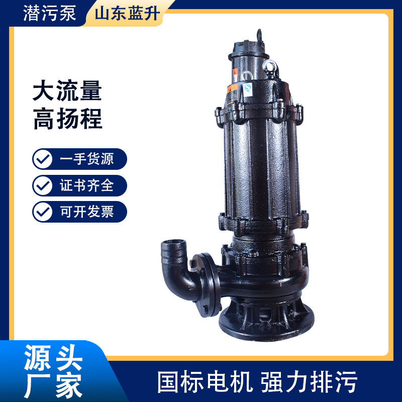 河南潛污泵廠家 鄭州排污泵價格-新鄉(xiāng)污水泵供貨商-批發(fā)- 定制（山東藍升泵業(yè)）