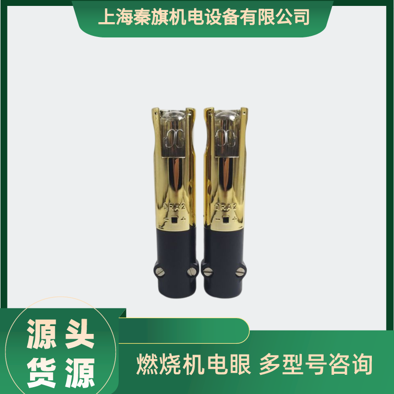 QRA2火焰探測器 QRA2M進口紫外線檢測火檢探頭 UV光電管