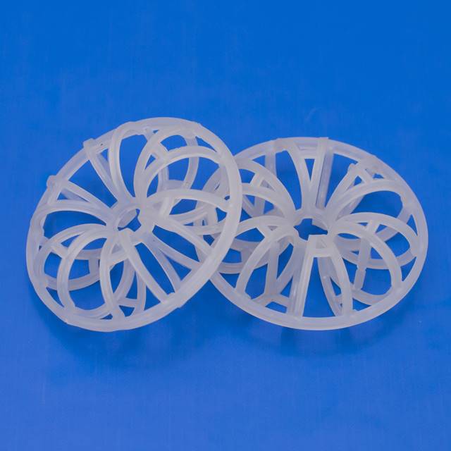 凈化塔中塑料泰勒花環(huán) 廠家提供不同規(guī)格不同材質(zhì)訂制加工生產(chǎn) pp泰勒花環(huán)