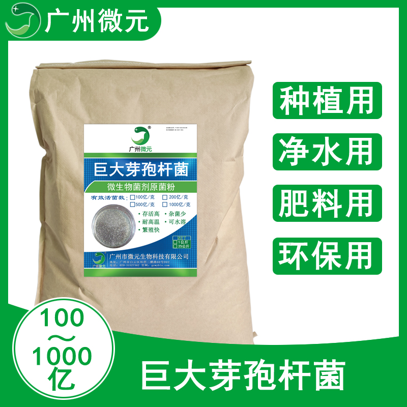 巨大芽孢桿菌1000億/克 巨大芽孢桿菌生物肥料功能菌 農(nóng)用微生物菌劑