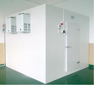 河北肉類冷凍冷庫(kù)設(shè)計(jì) 酒店餐飲冷庫(kù)安裝 果蔬冷庫(kù)維護(hù)