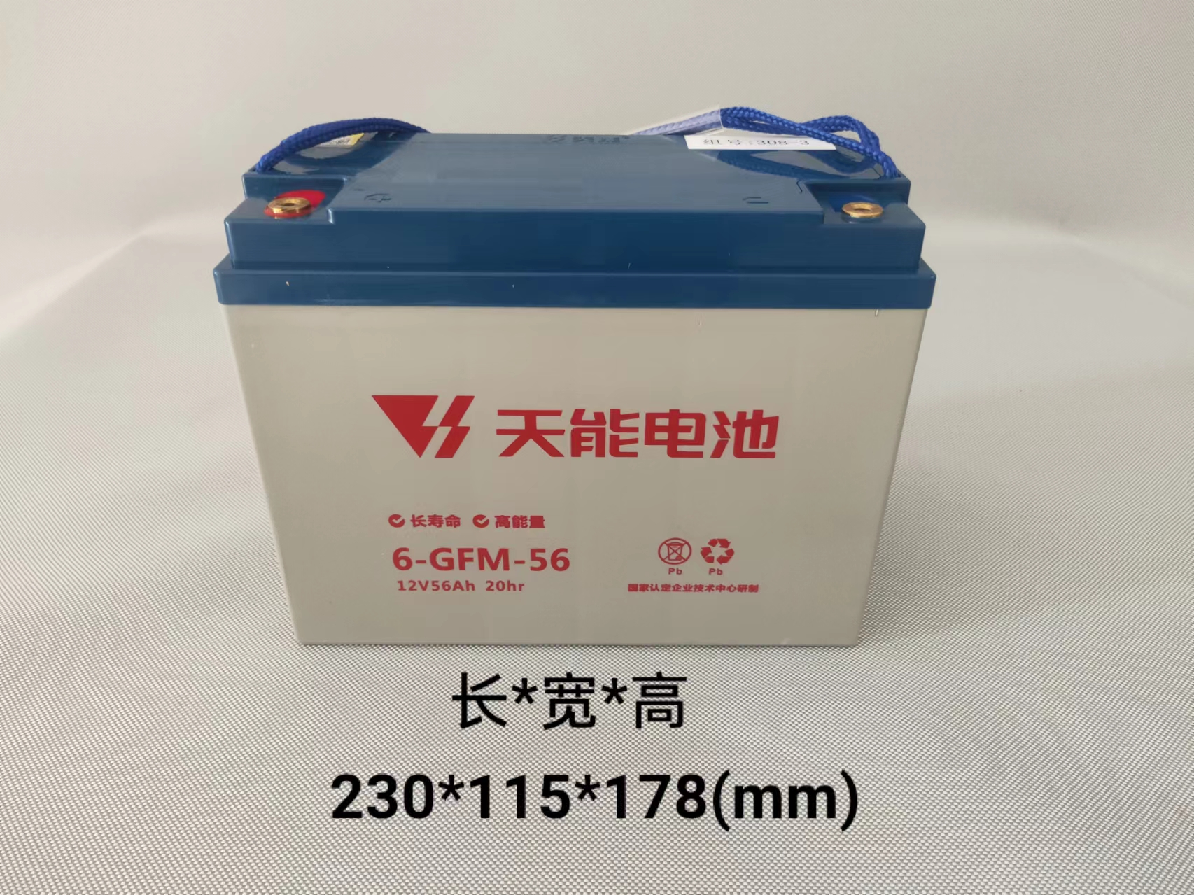 天能6-GFM-56鉛酸免維護 蓄電池 電動三輪車叉車洗地機清潔車電池 12v 56ah