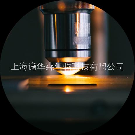 譜華森  全景數(shù)字切片 高通量 數(shù)字病理掃描儀 60P