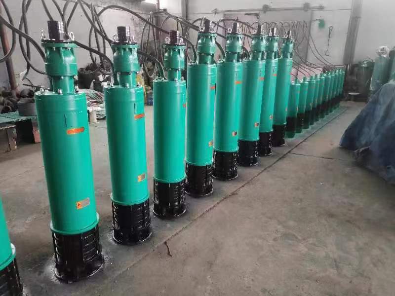 內(nèi)裝式高揚(yáng)程污水泵 WQX12.5-200-18.5kW