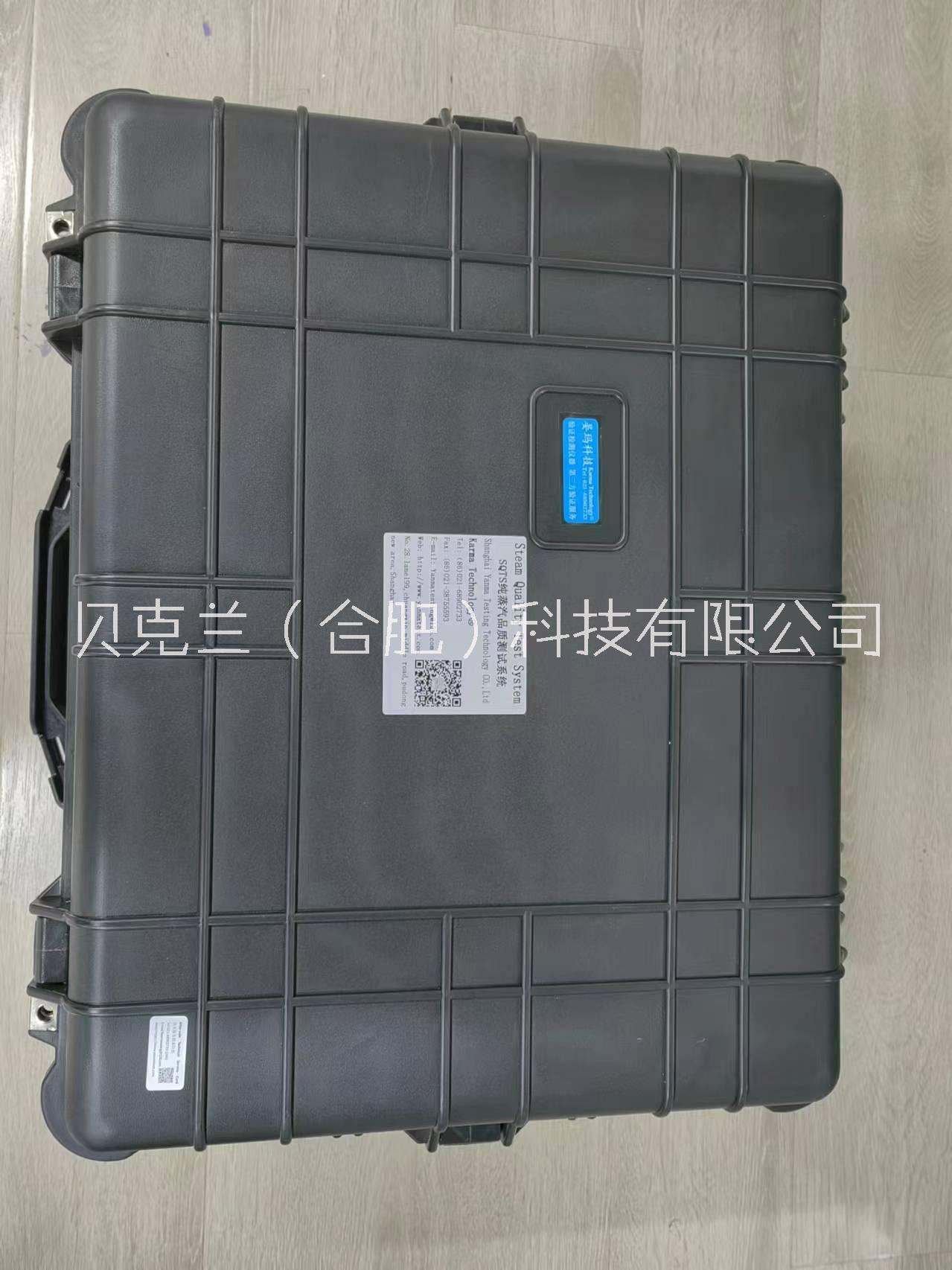 SVMS純蒸汽質(zhì)量檢測儀 蒸汽品質(zhì)測試儀