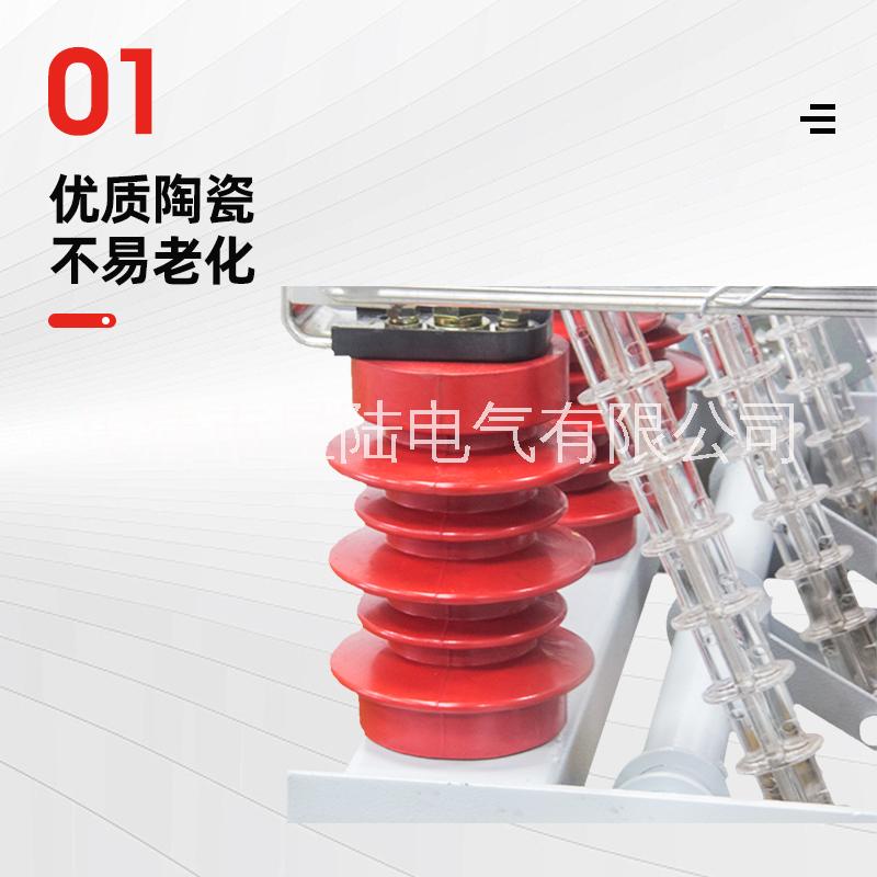 FN5-12R/630A戶內(nèi)高壓負(fù)荷開(kāi)關(guān) 10KV負(fù)荷及熔斷器組合開(kāi)關(guān)